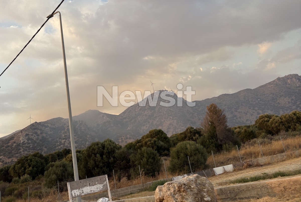 Φωτιά στην Κω, στην περιοχή Πυλί – Σηκώθηκαν εναέρια μέσα