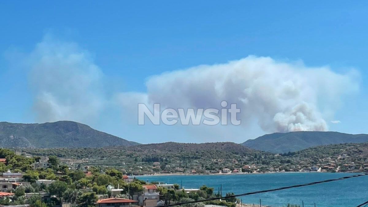 Το διπλό πύρινο μέτωπο στην Σαλαμίνα
