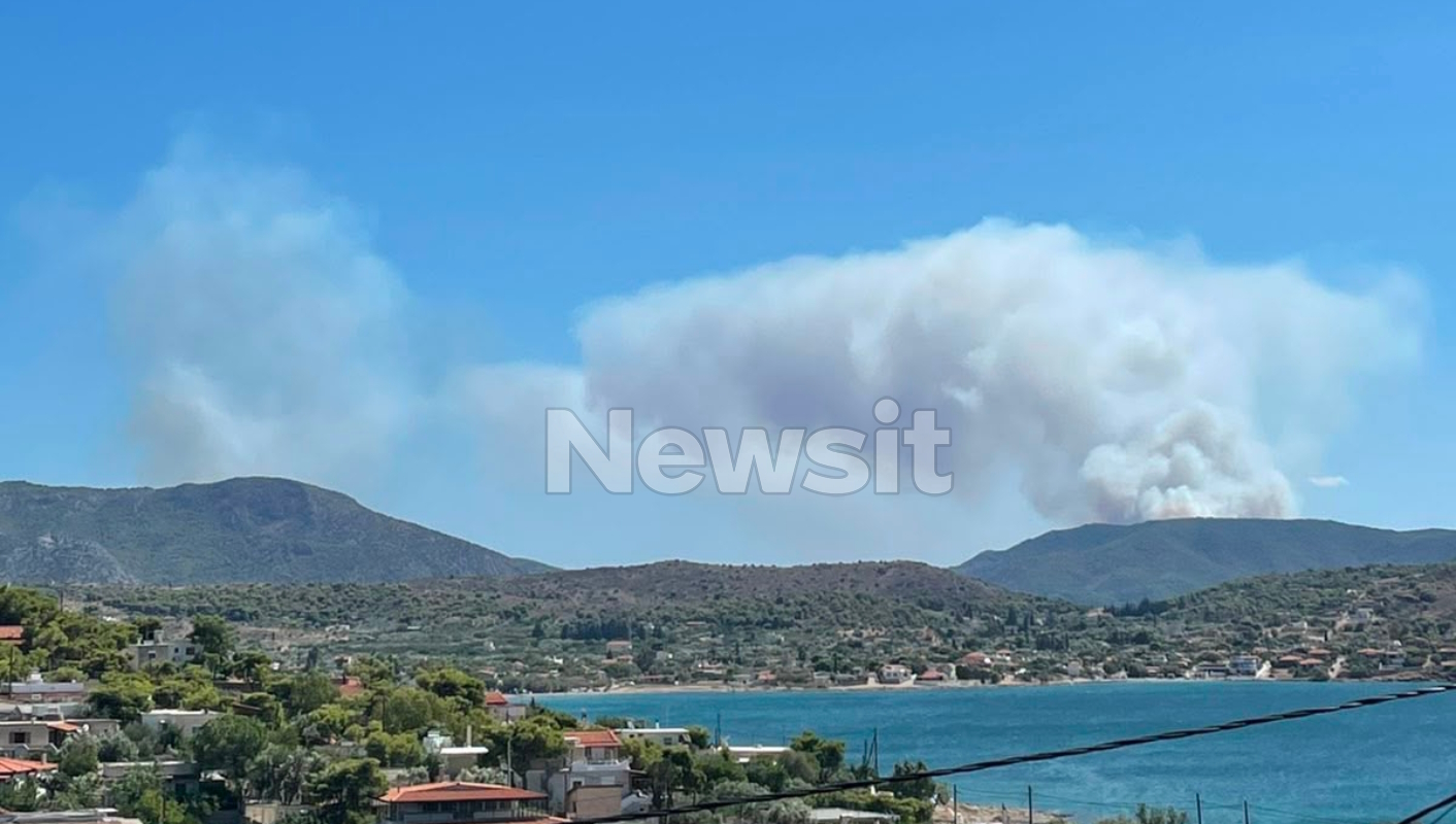 Fotia-Metopo-Salamina22 Το διπλό πύρινο μέτωπο στην Σαλαμίνα