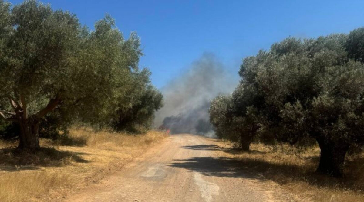 Φωτιά στο Πικέρμι: Βρέθηκε απανθρακωμένη σορός σε αυτοκίνητο - Μήνυμα του 112 για ετοιμότητα