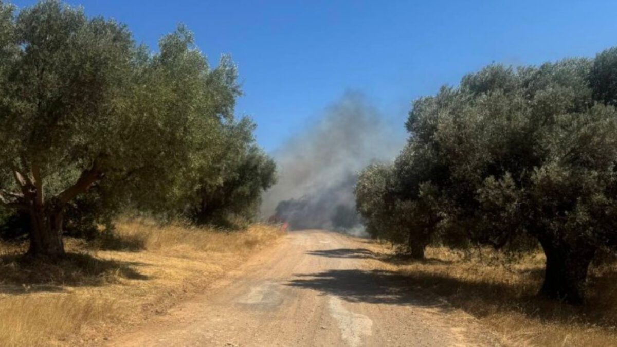 Φωτιά στο Πικέρμι