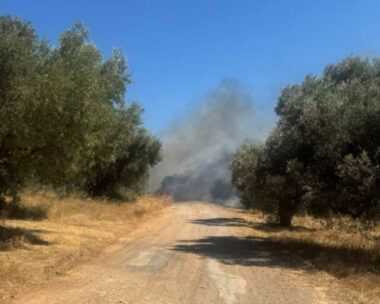 Φωτιά στο Πικέρμι
