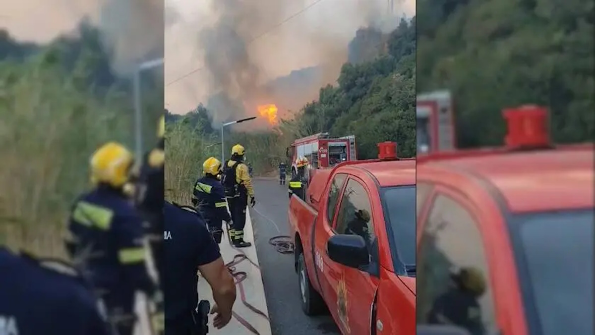 Φωτιά στα Σελλιά Ρεθύμνου: Ελεύθερος με εγγύηση 10.000 ευρώ ο 35χρονος Ισραηλινός - «Στα ψιλά γράμματα η μη χρήση ψησταριάς σε περίπτωση ανέμων»