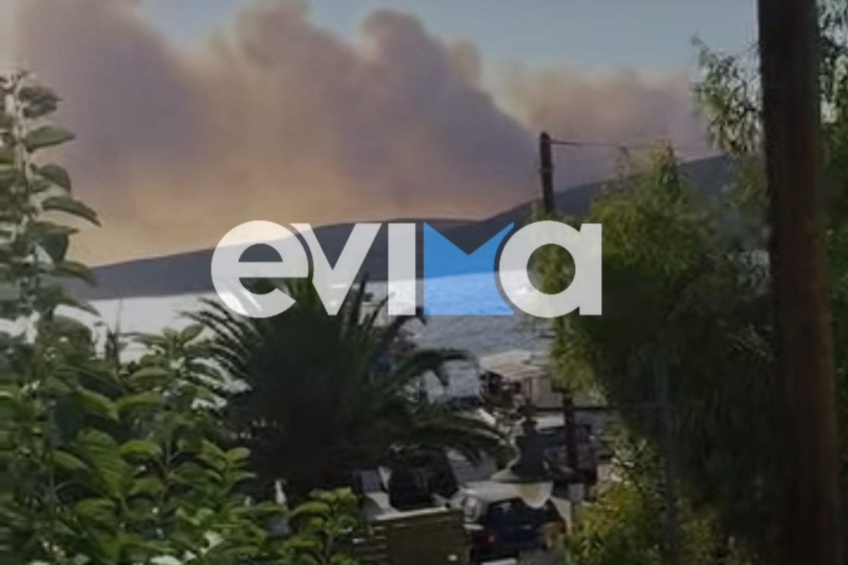 Φωτιά στη Σκύρο: Μάχη σε δύο μέτωπα με ανέμους άνω των 7 μποφόρ - Βελτιωμένη η εικόνα