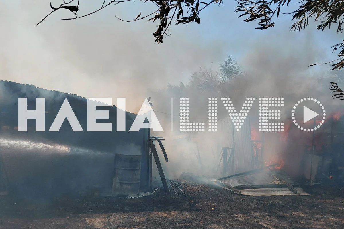 Φωτιά στο Βαρθολομιό