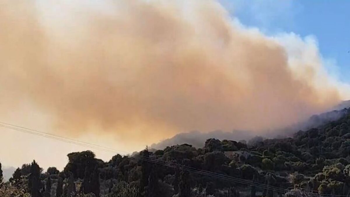 Φωτιά στην Εύβοια