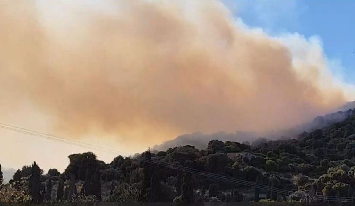 Φωτιά στην Εύβοια