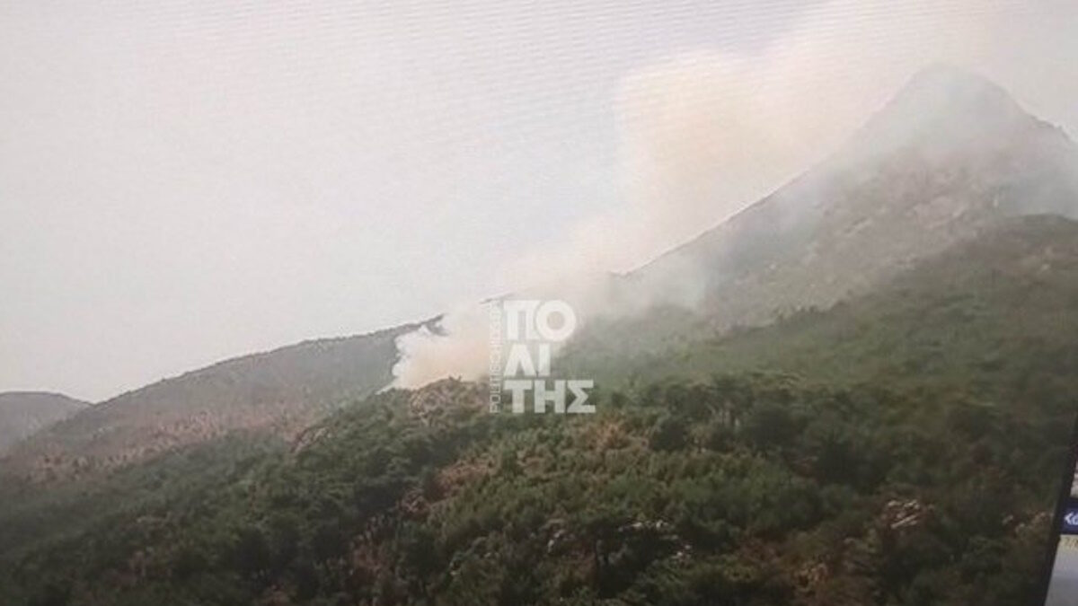 φωτια χιο