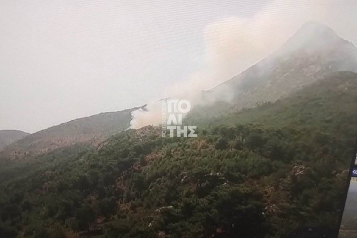 φωτια χιο