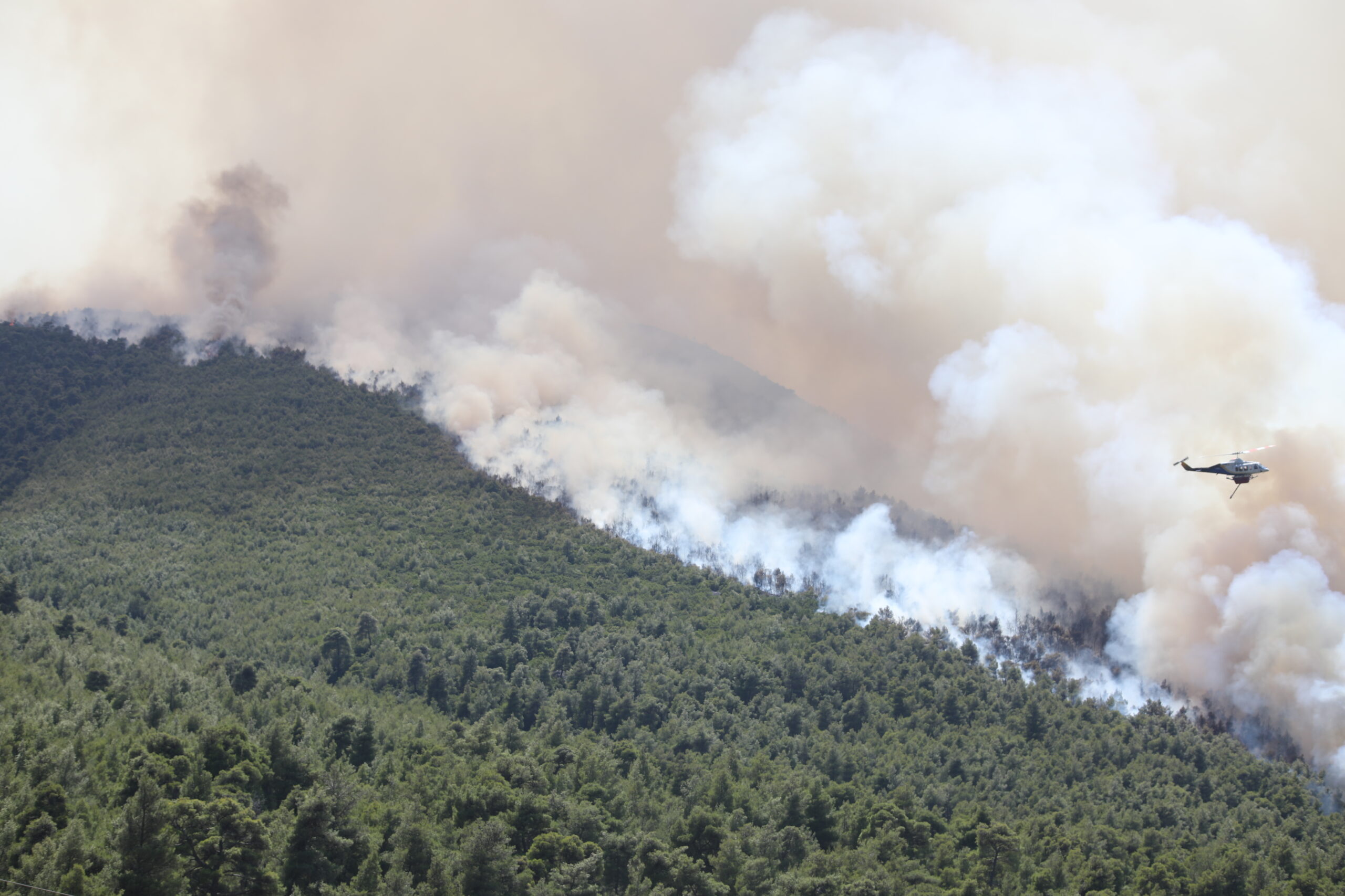 Για 3η ημέρα συνεχίζεται η μάχη με την μεγάλη πυρκαγιά που ξεκίνησε από την Βοιωτία και επεκτάθηκε και στον Νομό Αττικής, αφήνοντας πίσω της μεγάλες καταστροφές σε οικισμούς και δασική έκταση, Κυριακή 2 Αυγούστου 2026