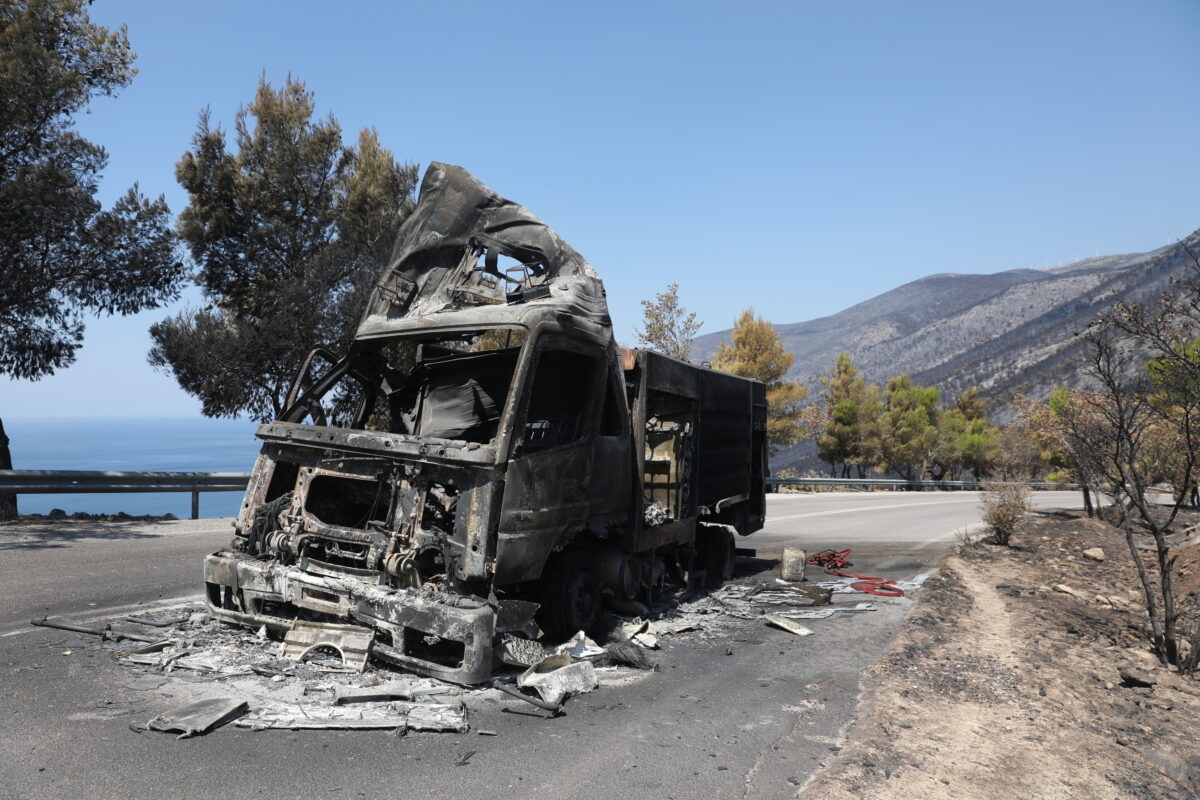 ΔΑΝΑΗ ΔΑΥΛΟΠΟΥΛΟΥ