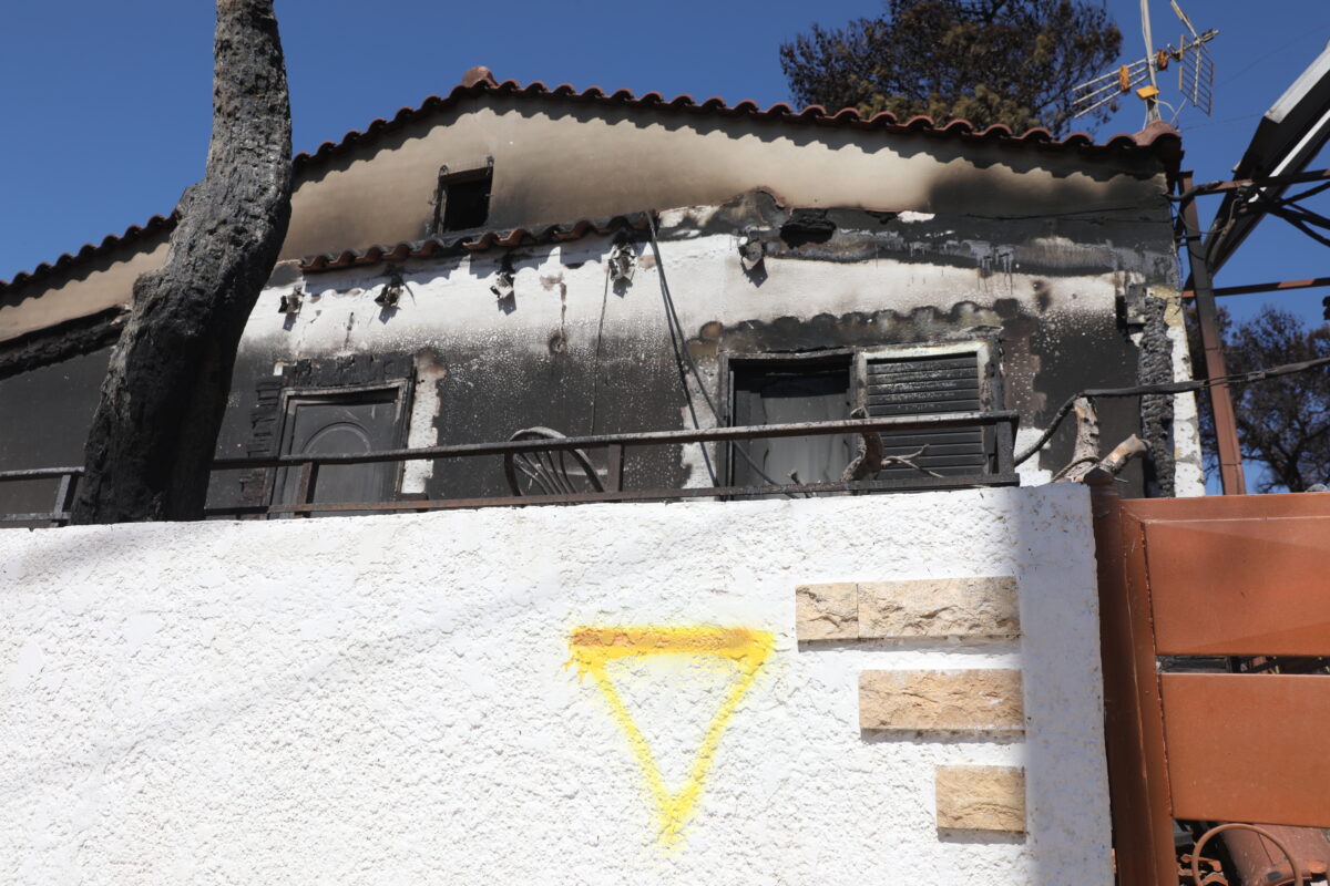 ΔΑΝΑΗ ΔΑΥΛΟΠΟΥΛΟΥ