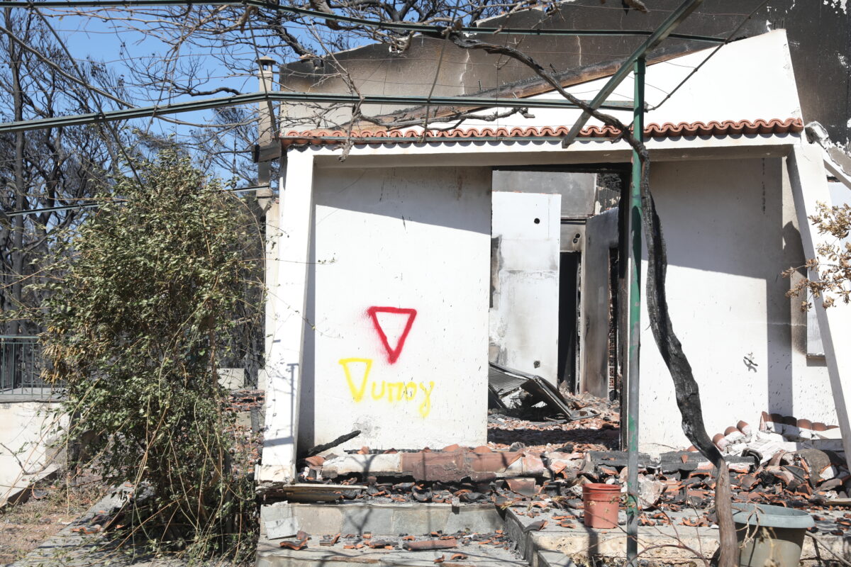 ΔΑΝΑΗ ΔΑΥΛΟΠΟΥΛΟΥ