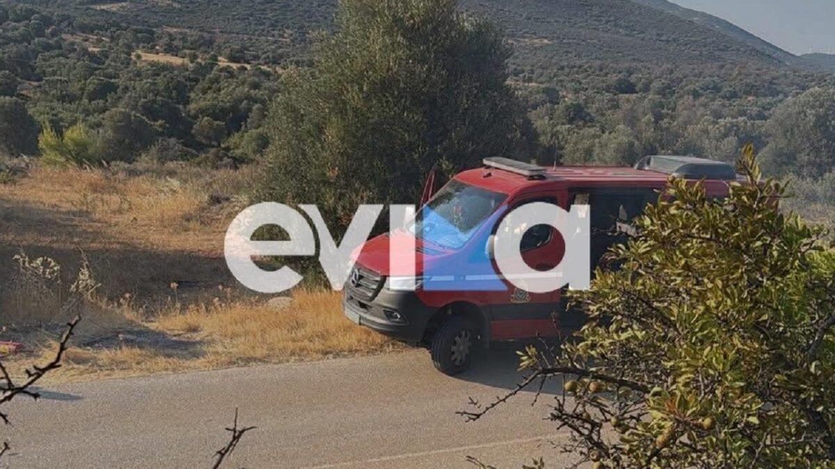 Φωτιά στην Εύβοια