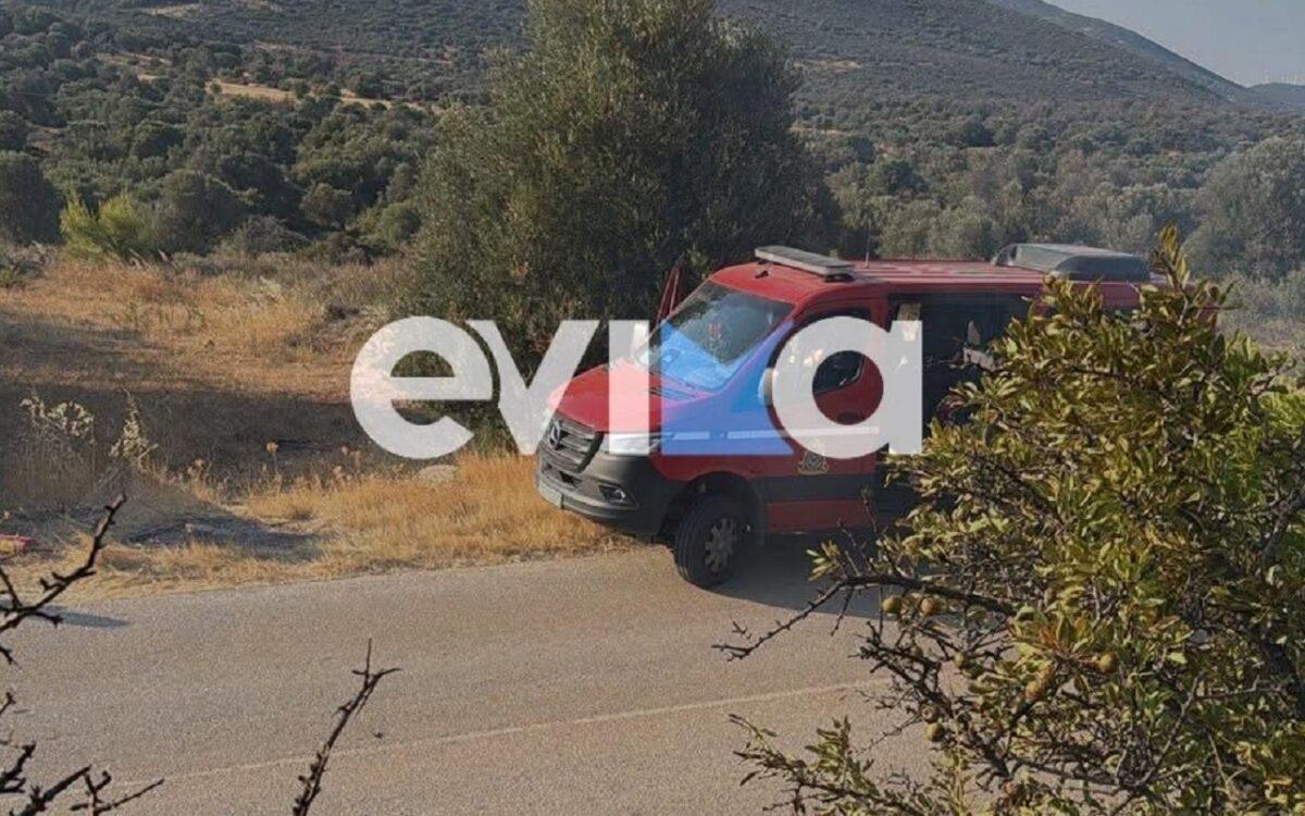 Φωτιά στην Εύβοια