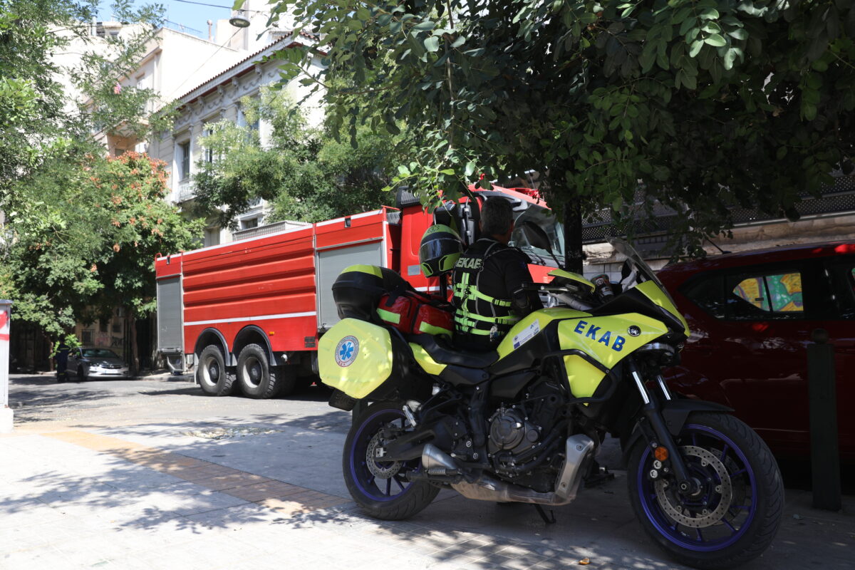 ΔΑΝΑΗ ΔΑΥΛΟΠΟΥΛΟΥ