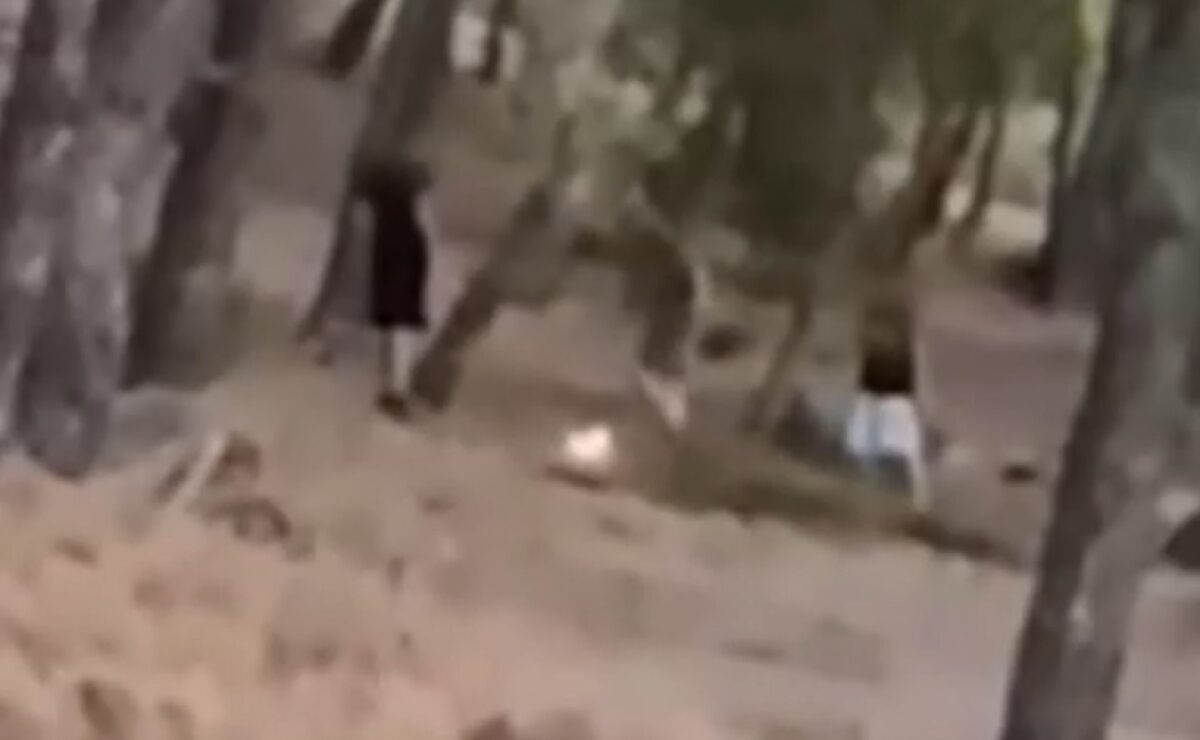 Φωτιά στην Πεντέλη
