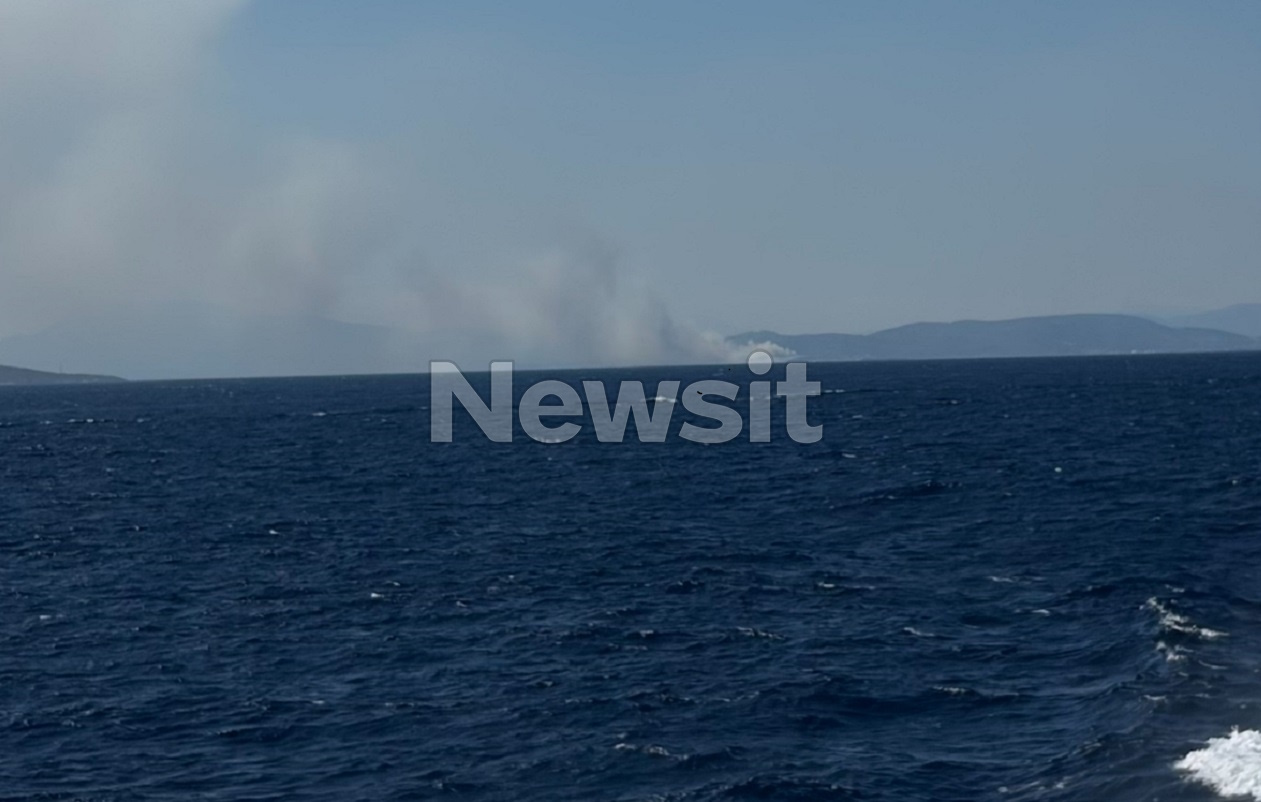 fwtia-salamina-1