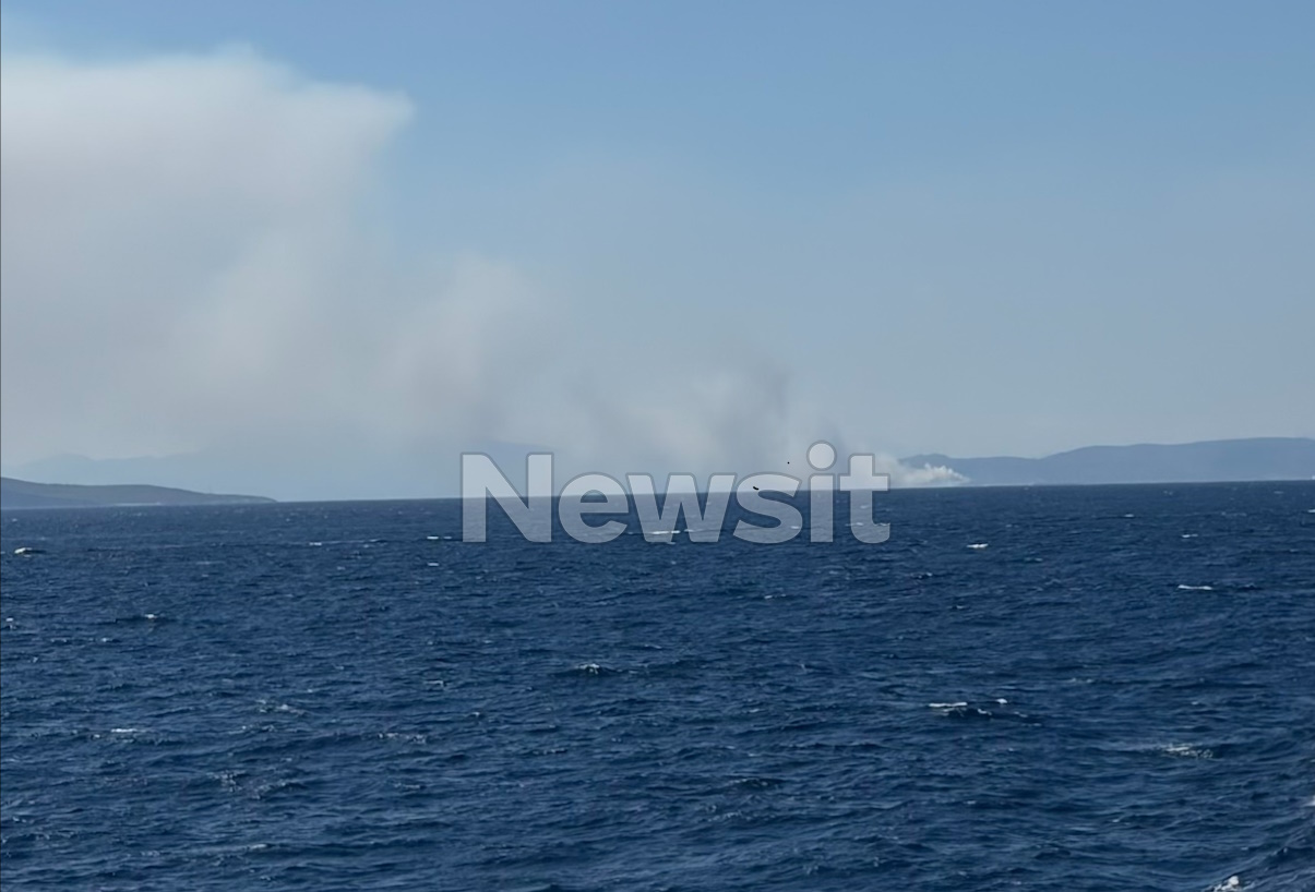 fwtia-salamina-2