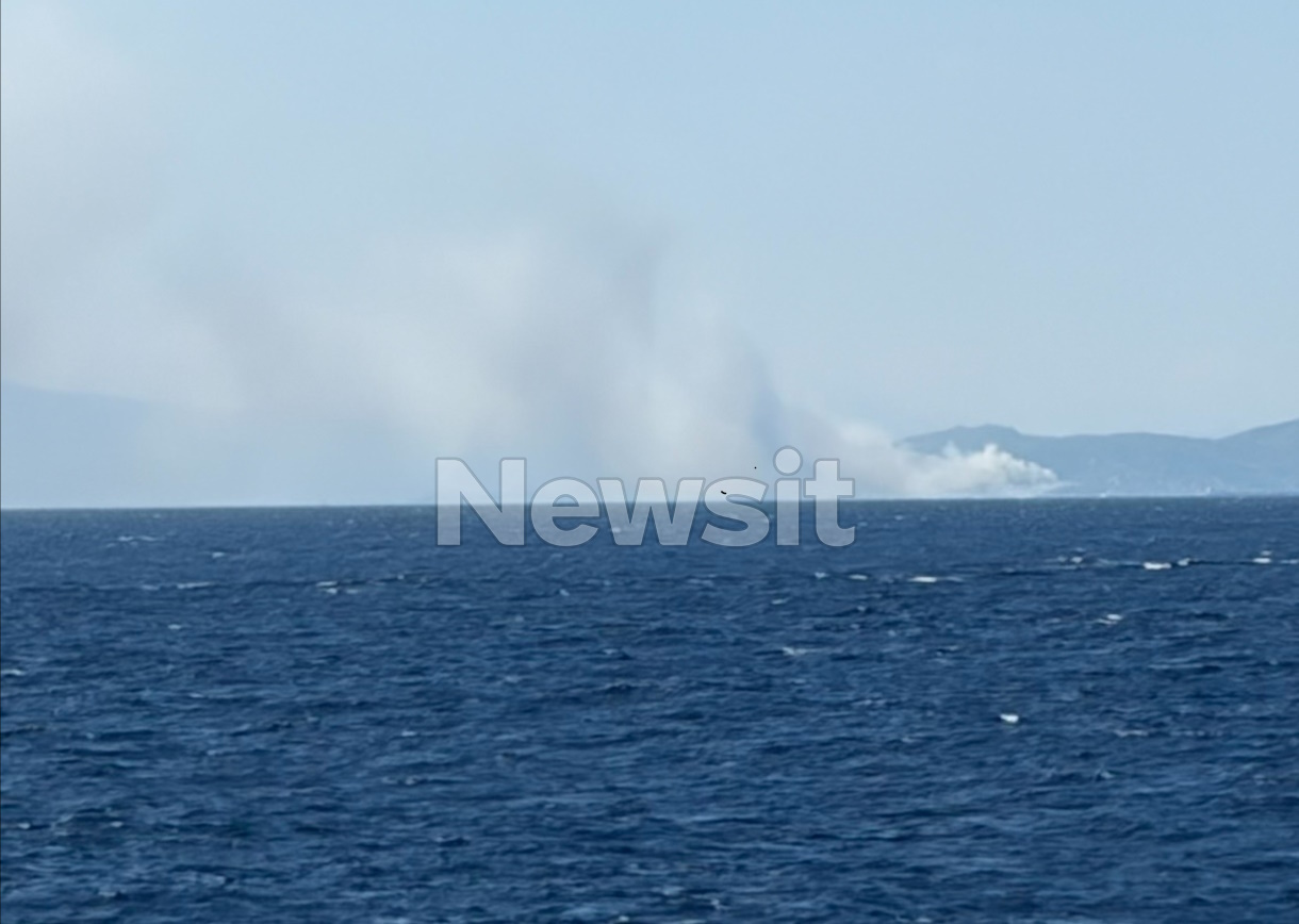 fwtia-salamina-3