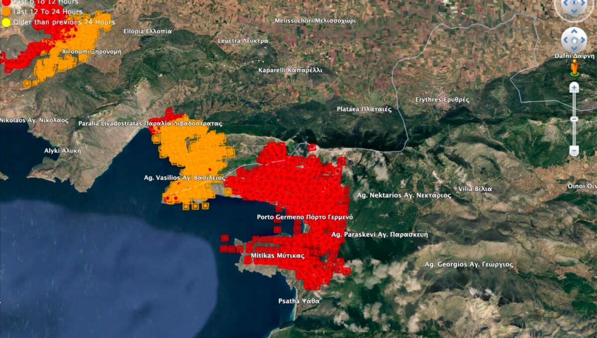 Φωτιά στη Βοιωτία: Ανυπολόγιστες ζημιές από την πύρινη κόλαση - Κάηκαν πάνω από 50.000 στρέμματα