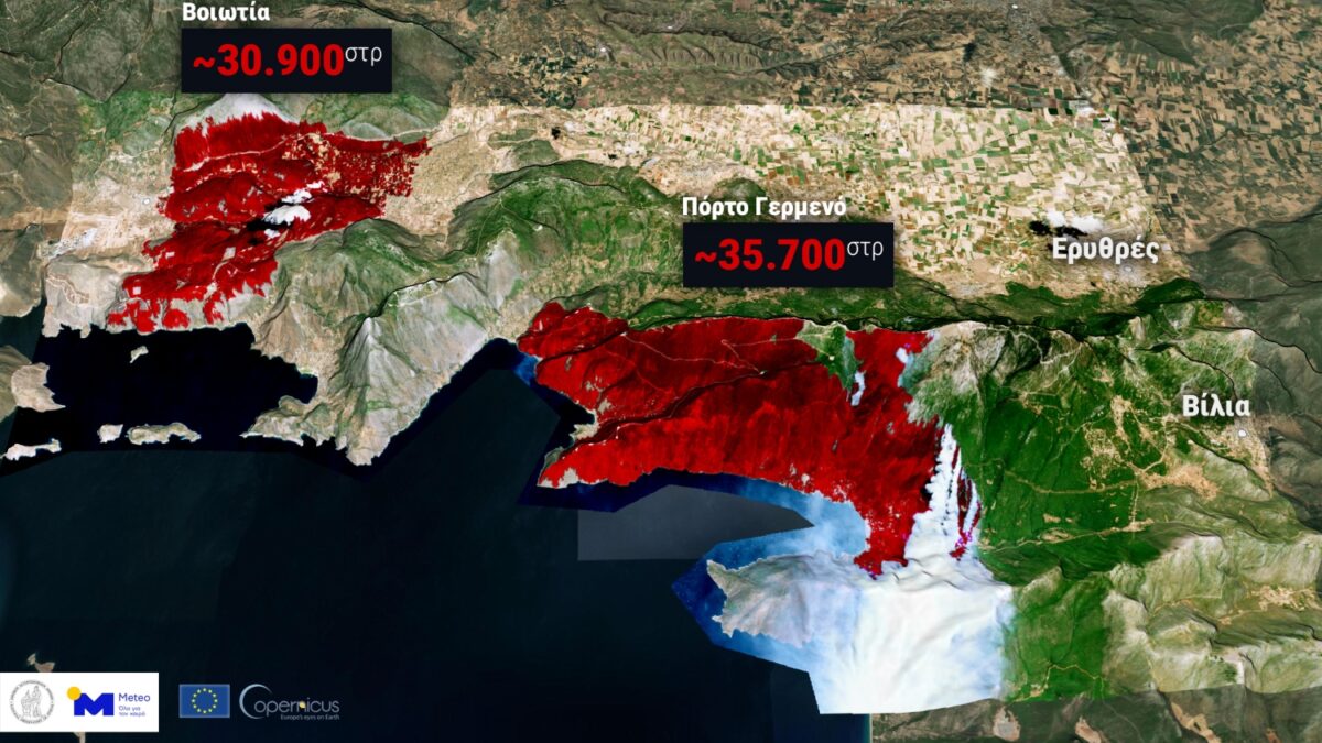 Φωτιά σε Βοιωτία και Αττική: Πάνω από 65.000 στρέμματα καταστράφηκαν – Δείτε χάρτη