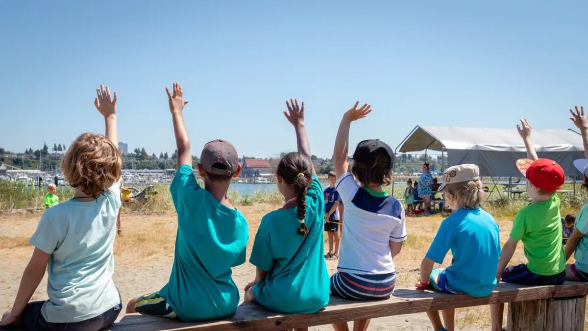 Students holding their hands up to volunter or ask questions of their teacher at an outdoor nature class. Jetty Island Washington.