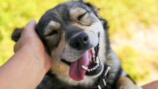 Πηγή φωτό: iStock