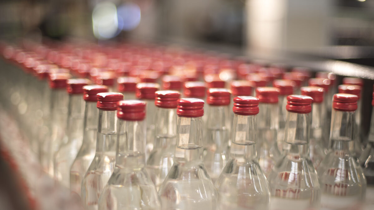 Bottles of vodka stand in a row in the store.