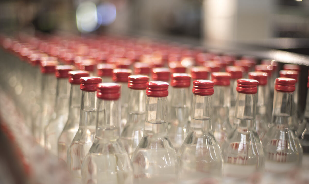 Bottles of vodka stand in a row in the store.