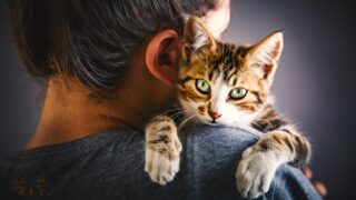 Πηγή φωτό: iStock