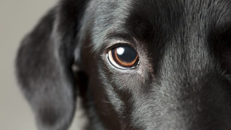 Πηγή φωτό: iStock