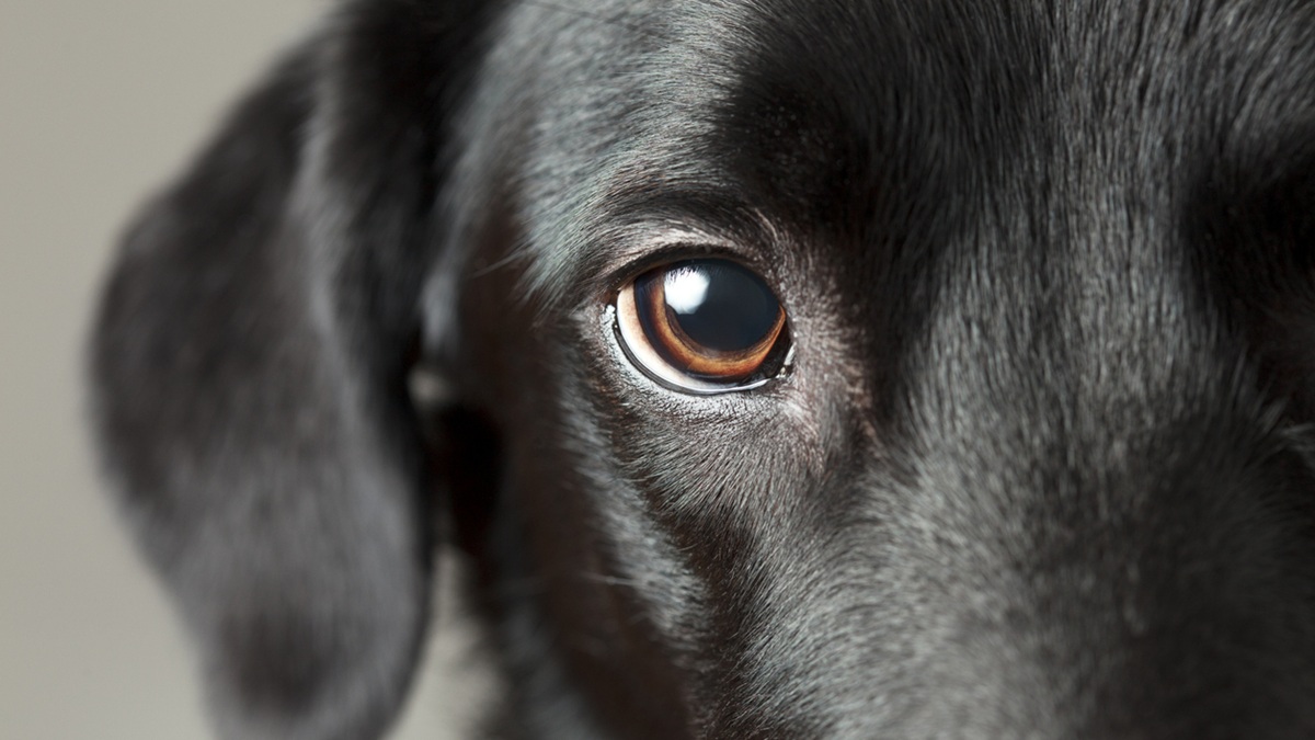 Πηγή φωτό: iStock