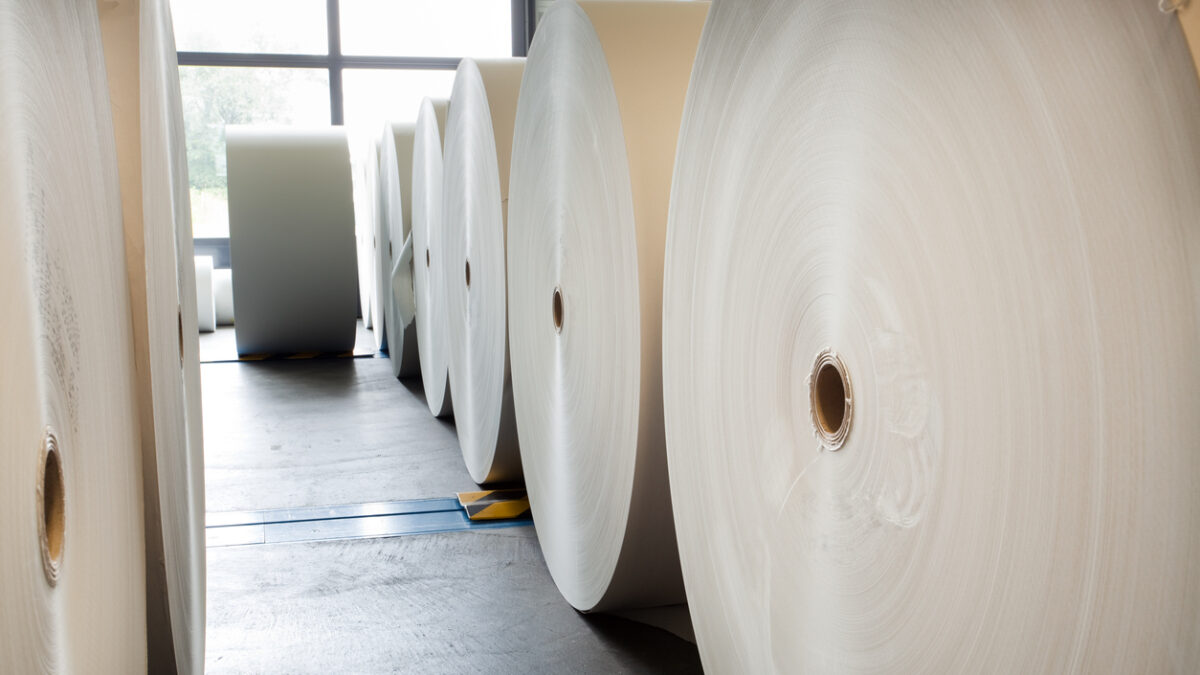 Paper rolls lined up waiting to be put on printing press