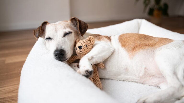Πηγή φωτό: iStock
