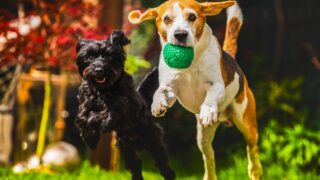 Πηγή φωτό: iStock