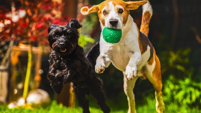 Πηγή φωτό: iStock