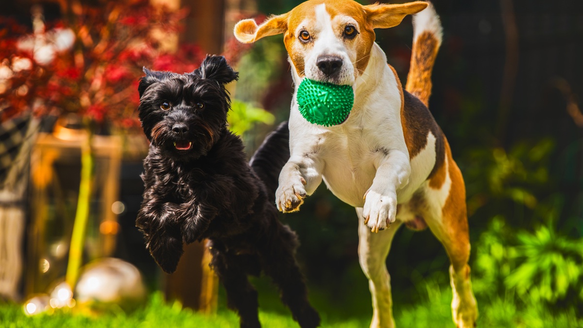 Πηγή φωτό: iStock
