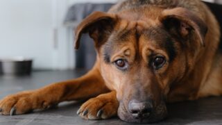Πηγή φωτό: iStock