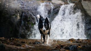 Πηγή φωτό: iStock