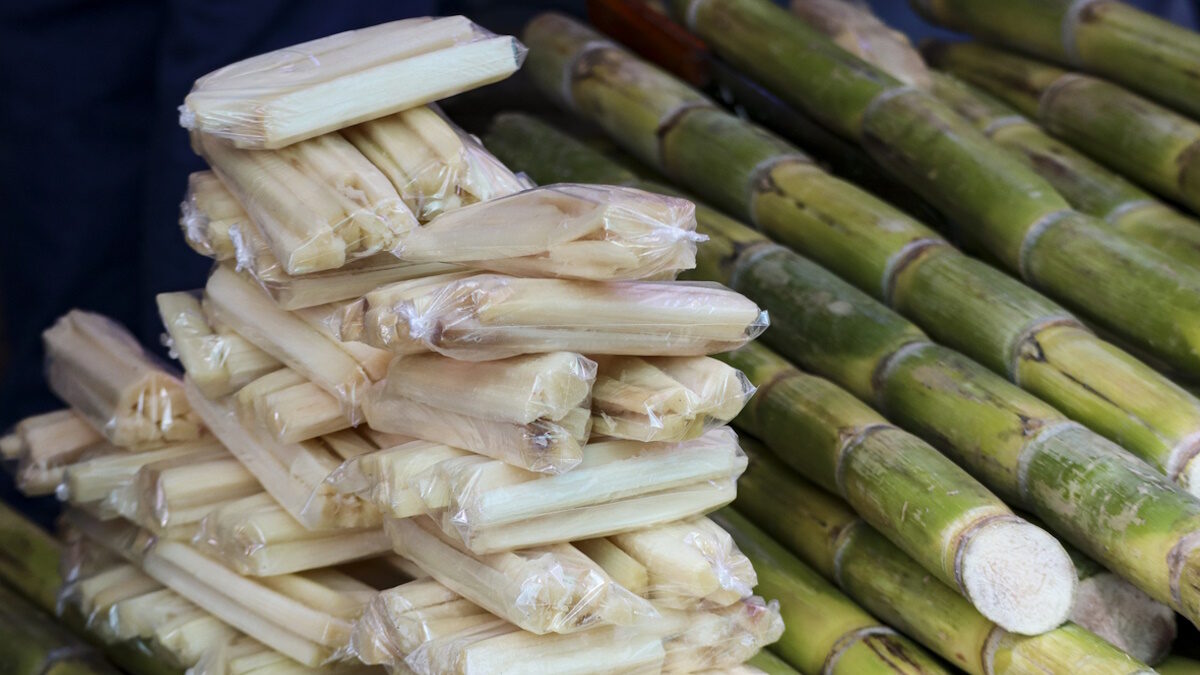Bundles of raw sugar cane sit beside plastic-wrapped peeled sticks at a local produce stall.