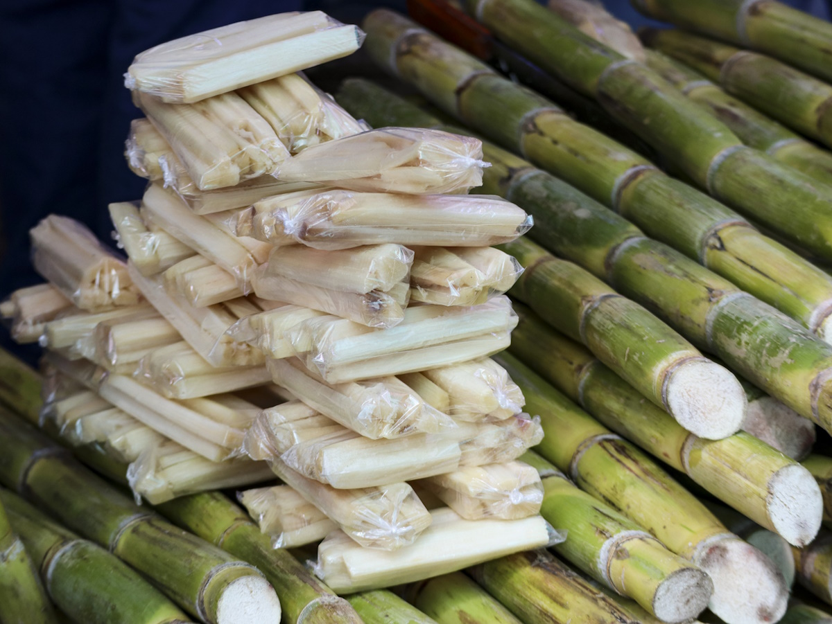 Bundles of raw sugar cane sit beside plastic-wrapped peeled sticks at a local produce stall.