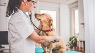 Πηγή φωτό: iStock