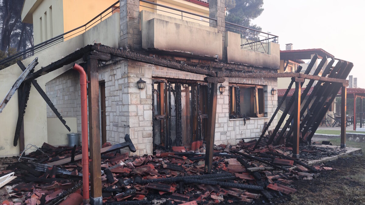 ΦΩΤΟ ΒΑΣΙΛΗΣ ΒΕΡΒΕΡΙΔΗΣ