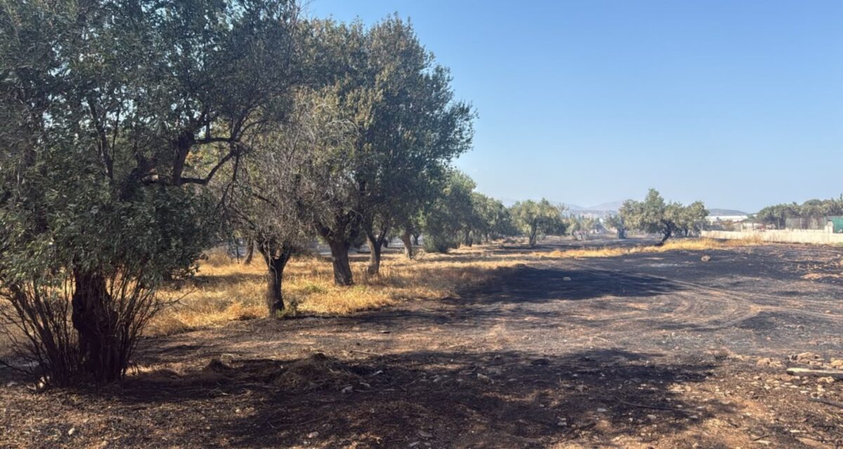 Οριοθετήθηκε η φωτιά στο Κορωπί - Μήνυμα του 112 για ετοιμότητα