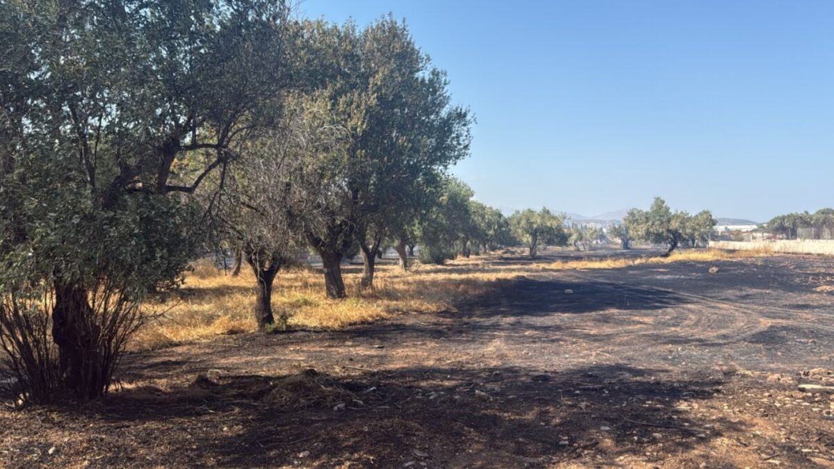 Φωτιά στο Κορωπί