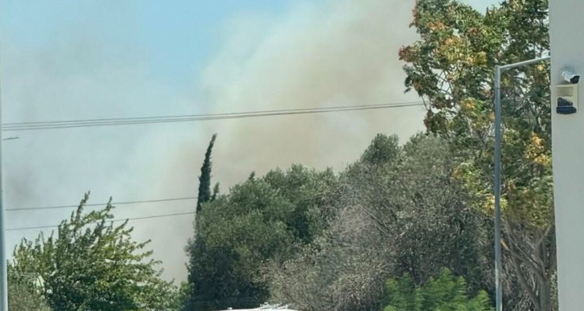 Φωτιά στη ΒΙΠΕ Κορωπίου