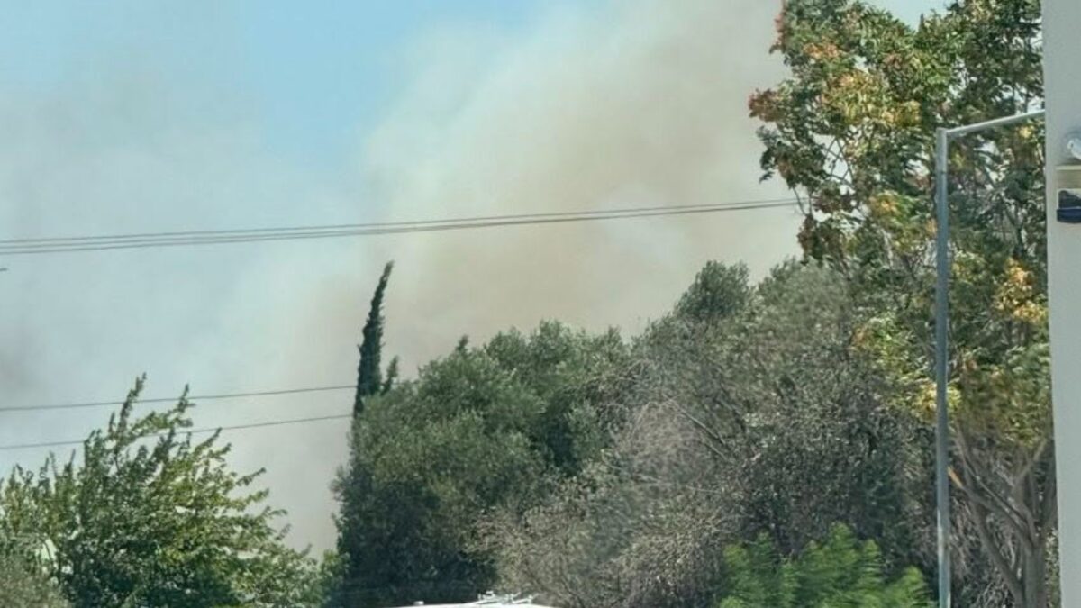 Φωτιά στη ΒΙΠΕ Κορωπίου