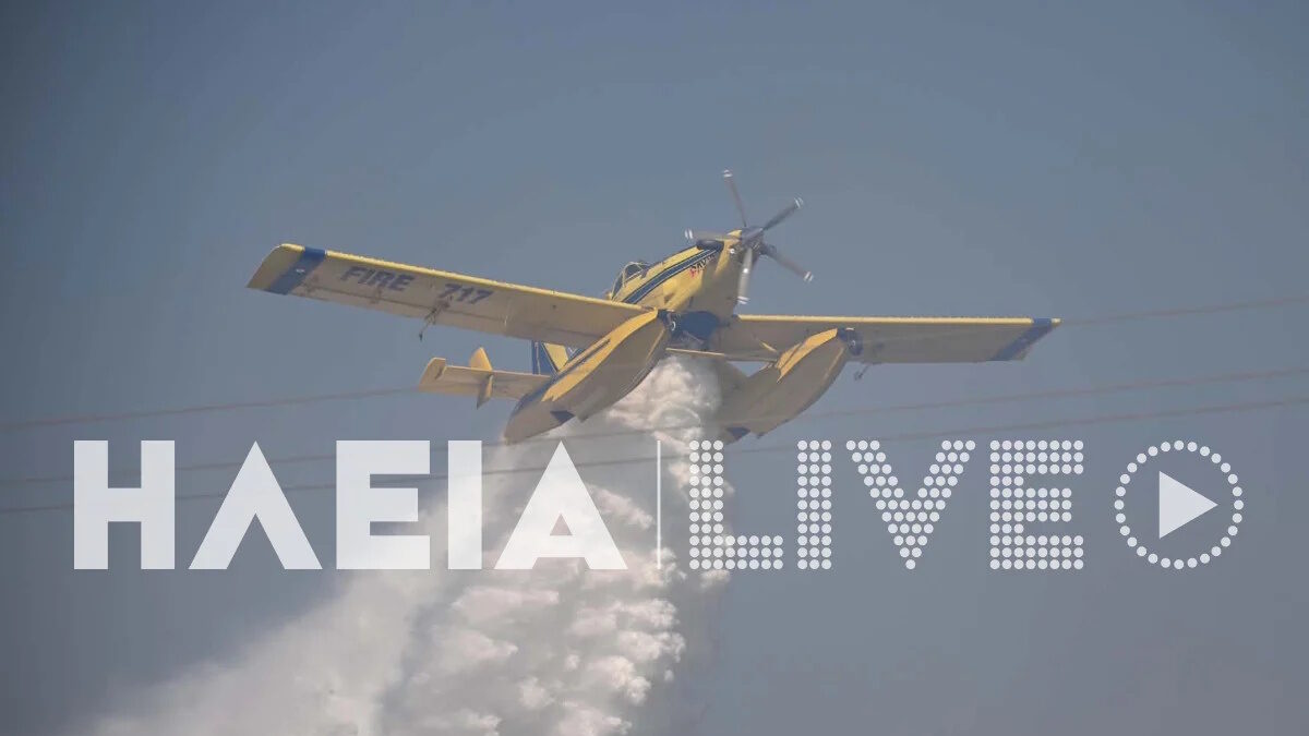 ΦΩΤΟ ILIALIVE