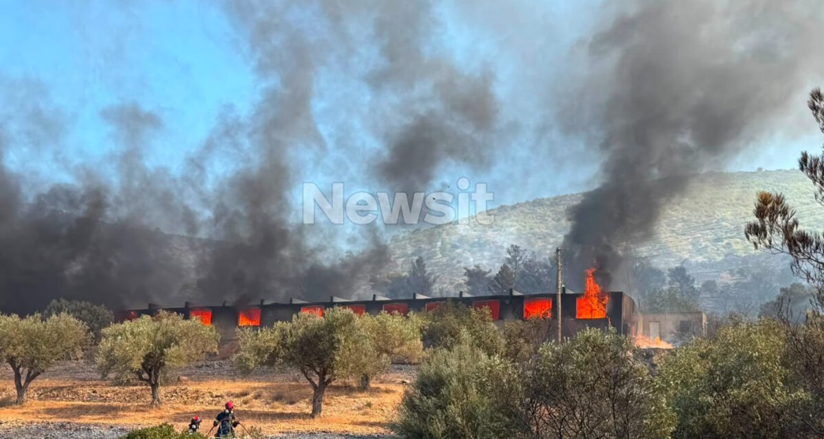 Φωτιά στον Κουβαρά Αττικής: Μήνυμα του 112 για εκκένωση του Αγίου Στυλιανού προς Καλύβια – Διακοπή κυκλοφορίας στη Λεωφόρο Λαυρίου